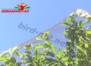 bird net used on tree for protection