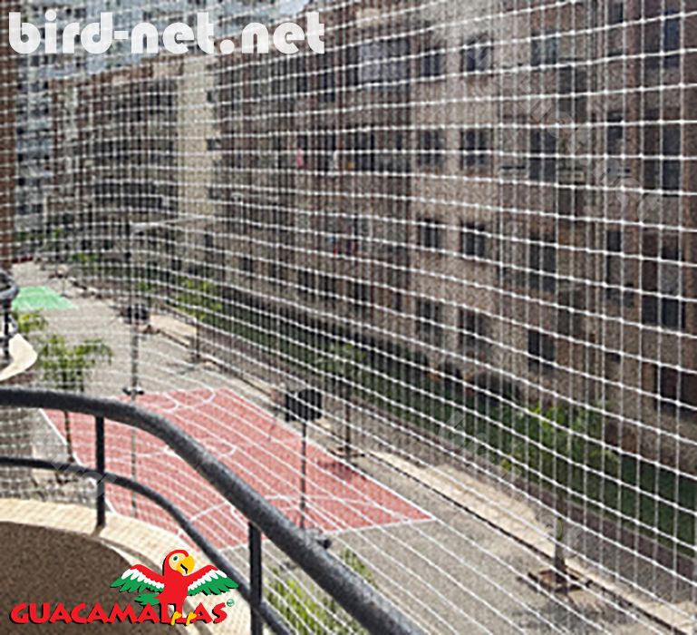 Bird nets used in an apartment complex to keep pigeons and starlings away