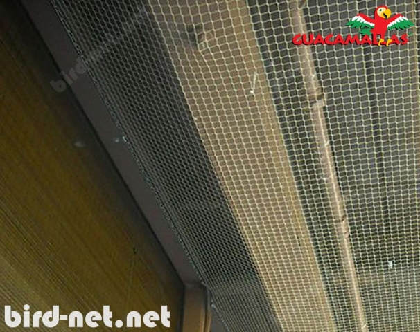 protect your building with bird netting GUACAMAYAS