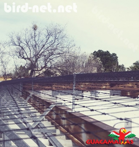 bird barrier nets are very useful in urban and industrial areas as a barrier against these pests