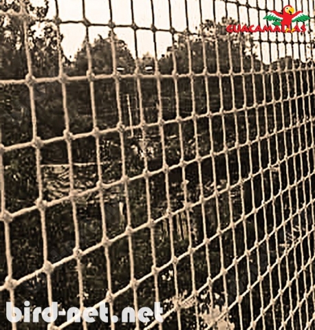 Bird barriers for buildings are one of the most effective ways to protect buildings