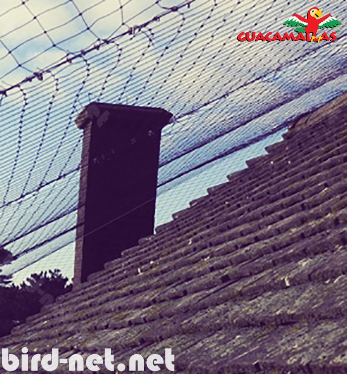 To effectively block the passage ways to our terraces and roof, the only secure product are GUACAMALLAS pigeon control nets.